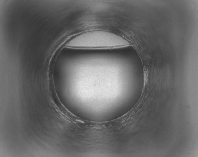 X0000075360243200609080846