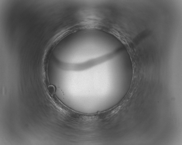 X0000075360245200609080846