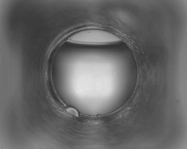 X0000075360247200609080846