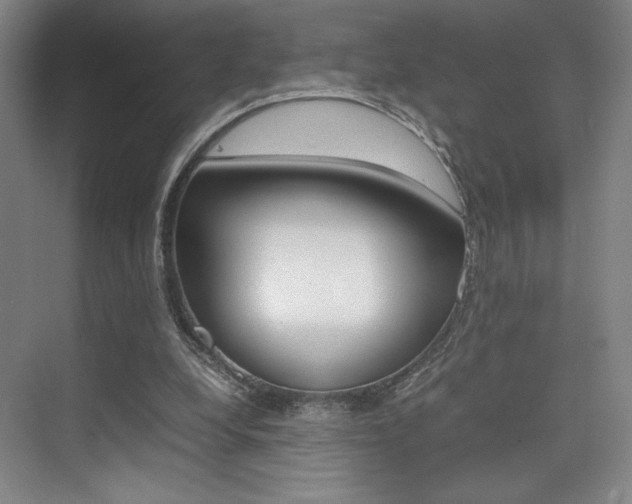 X0000075360248200609080846