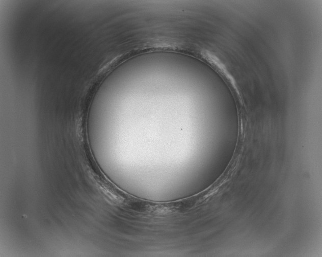 X0000075360249200609080846