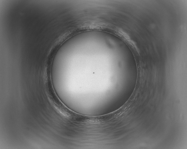 X0000075360250200609080846