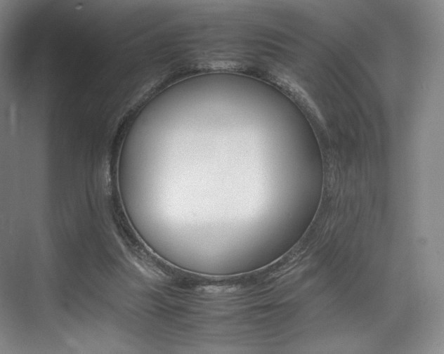 X0000075360251200609080846