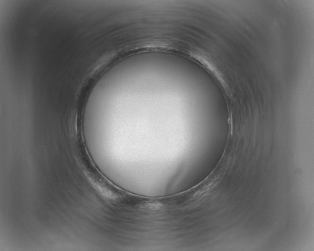 X0000075360253200609080846