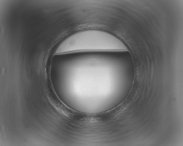 X0000075360254200609080846