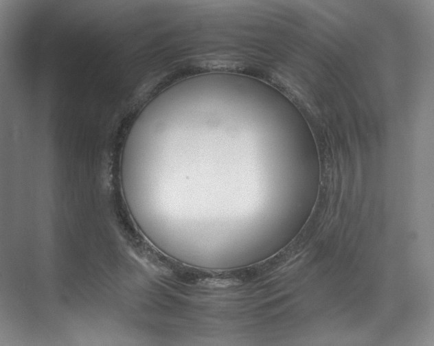 X0000075360255200609080846