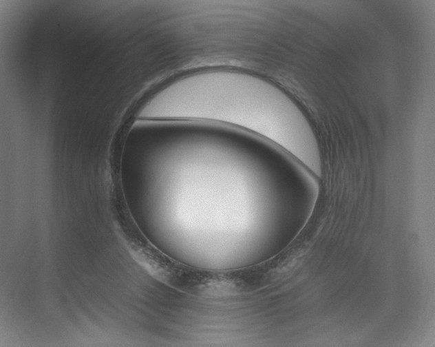 X0000075360256200609080846