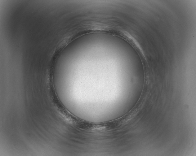 X0000075360257200609080846