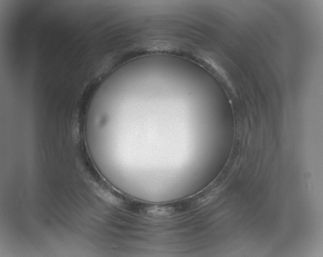 X0000075360261200609080846