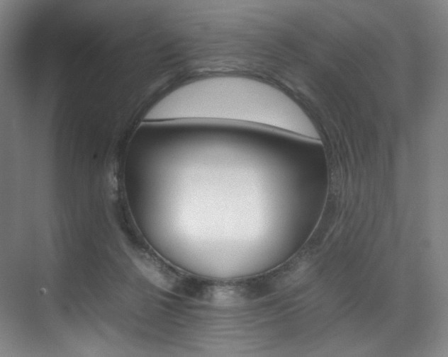X0000075360264200609080846