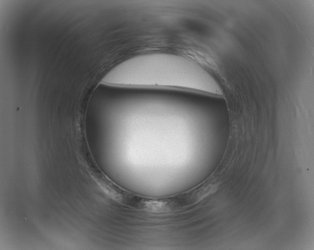 X0000075360265200609080846