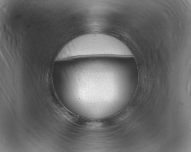 X0000075360266200609080846