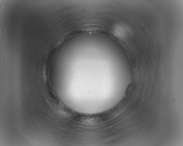 X0000075360267200609080846