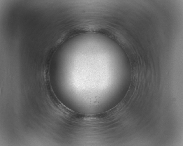 X0000075360268200609080846