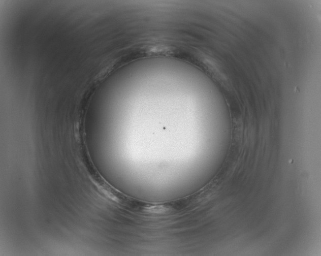 X0000075360269200609080846