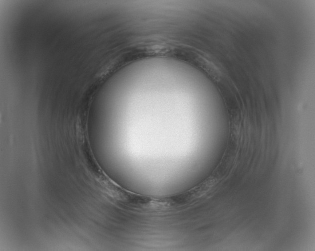 X0000075360270200609080846