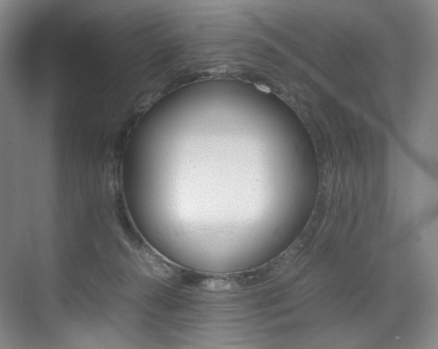 X0000075360272200609080846