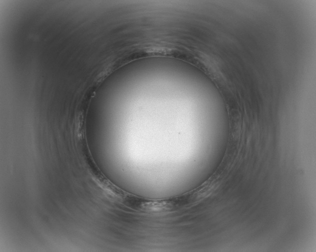 X0000075360273200609080846