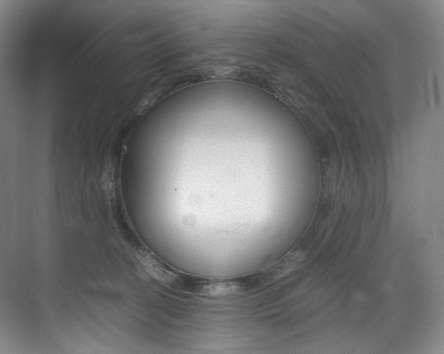 X0000075360274200609080846