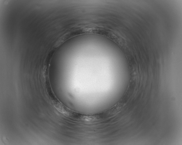 X0000075360275200609080846
