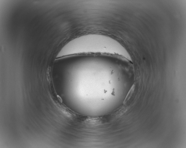 X0000075360280200609080846