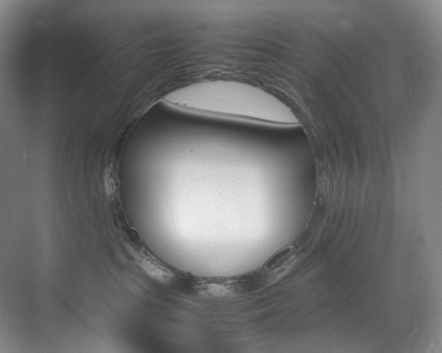 X0000075360285200609080846