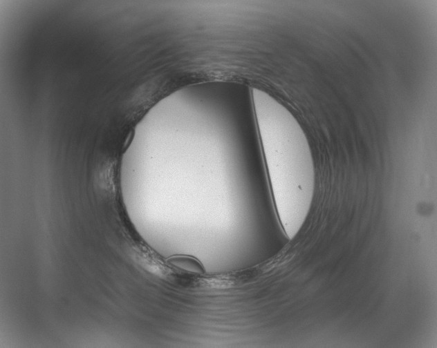X0000075360286200609080846