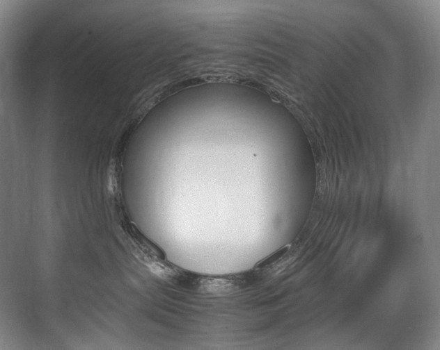 X0000075360287200609080846