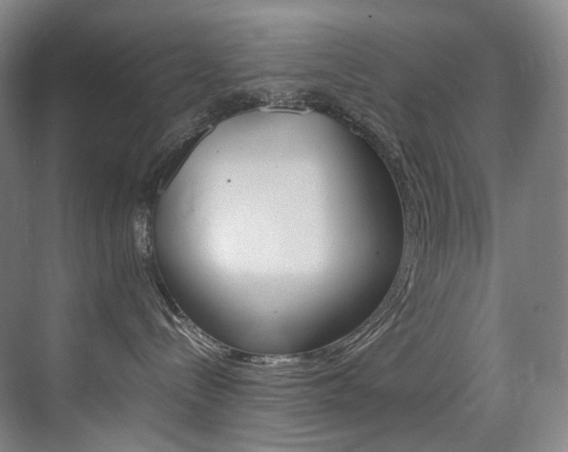 X0000075360288200609080846