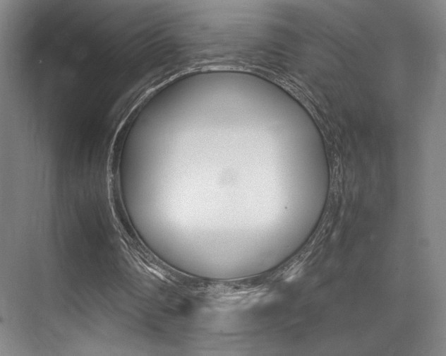 X0000075360290200609080846