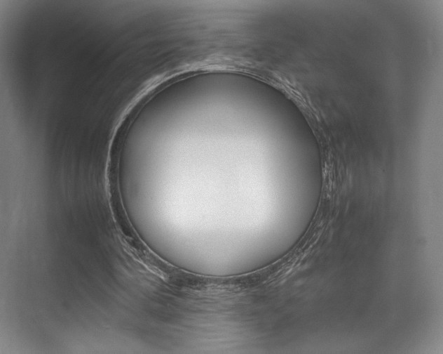 X0000075360292200609080846