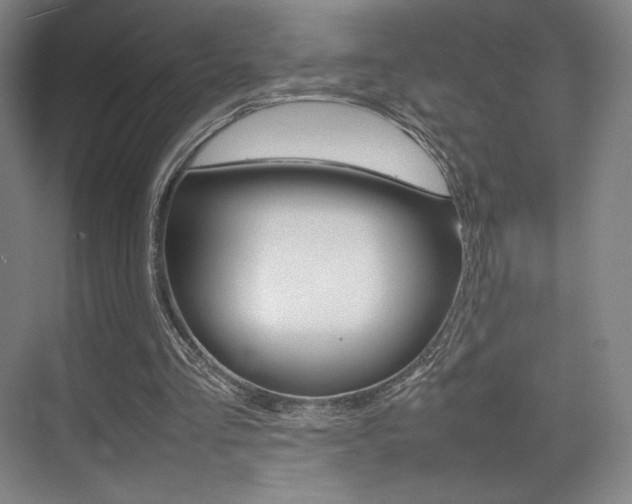 X0000075360293200609080846