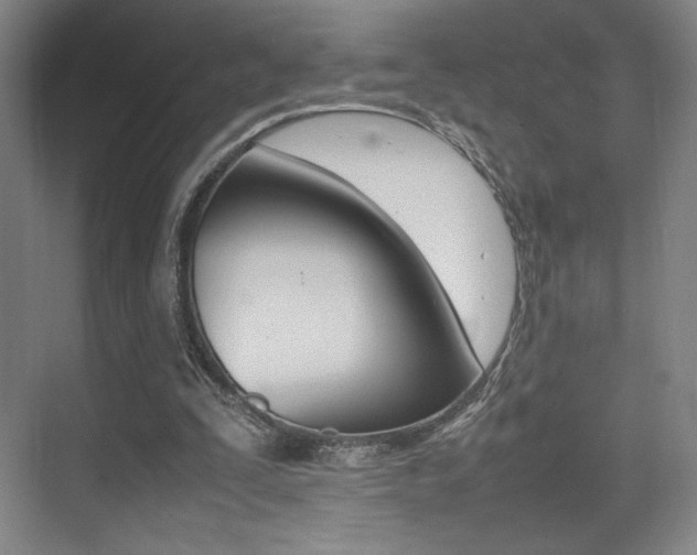 X0000075360295200609080846