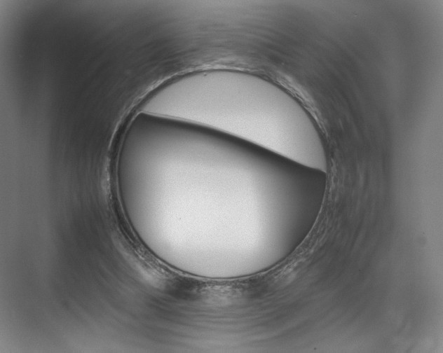 X0000075360298200609080845