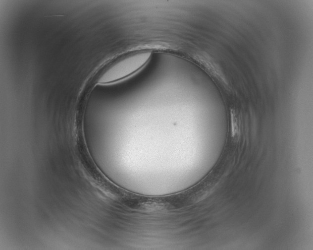 X0000075360300200609080845