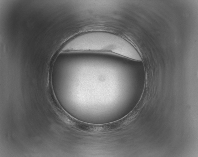 X0000075360301200609080845