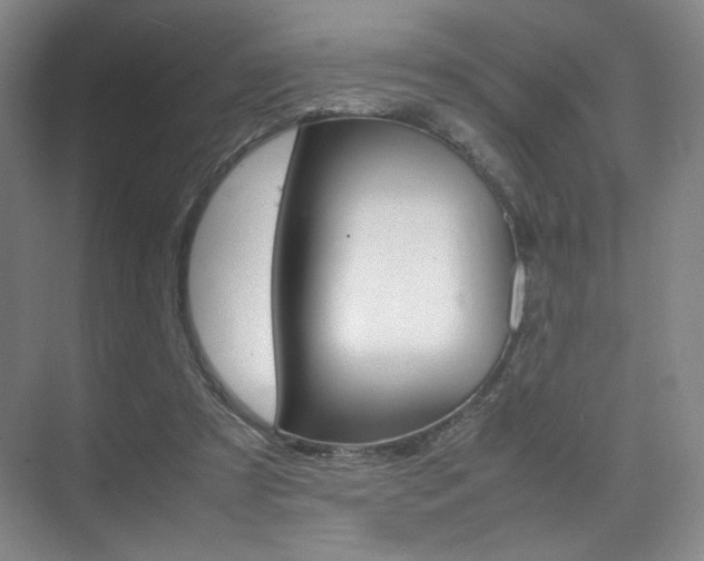X0000075360305200609080845