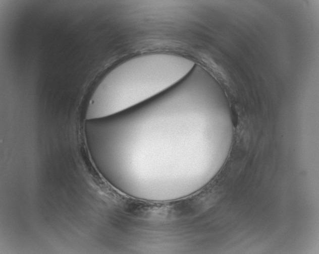 X0000075360306200609080845