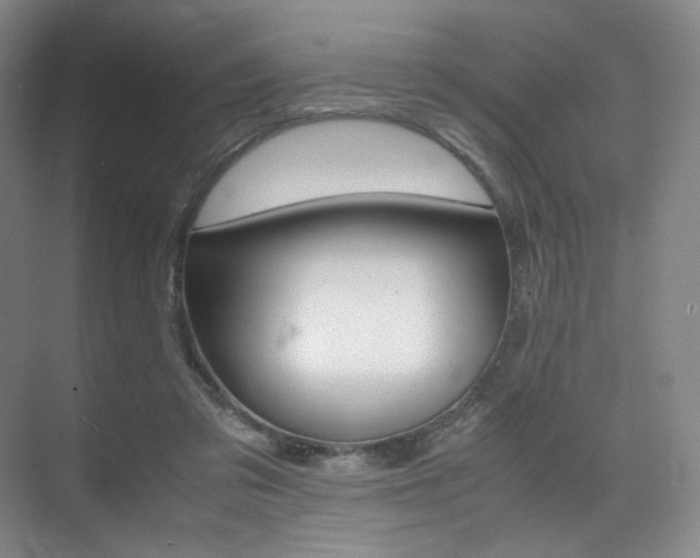 X0000075360309200609080845