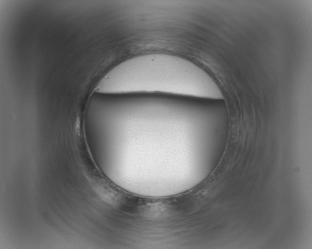 X0000075360310200609080845