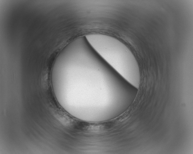 X0000075360314200609080845