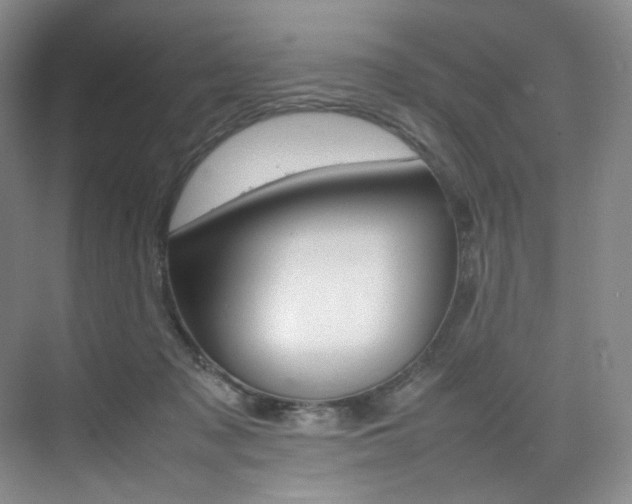 X0000075360317200609080845
