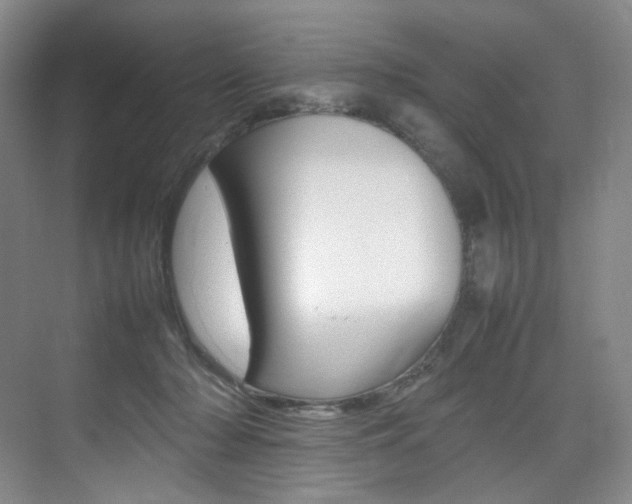 X0000075360318200609080845