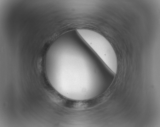 X0000075360319200609080845