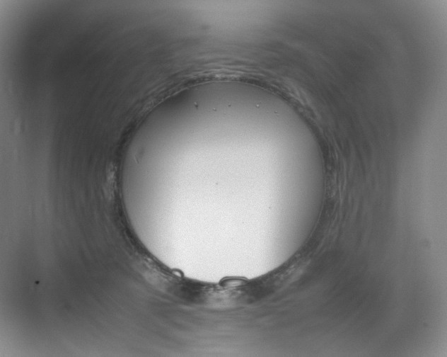 X0000075360321200609080845