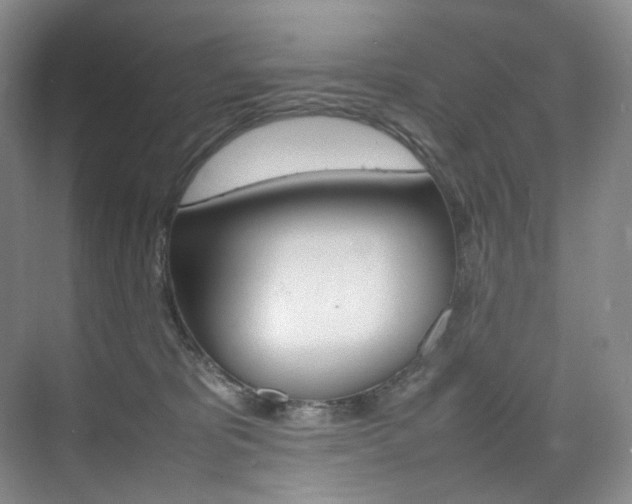 X0000075360325200609080845