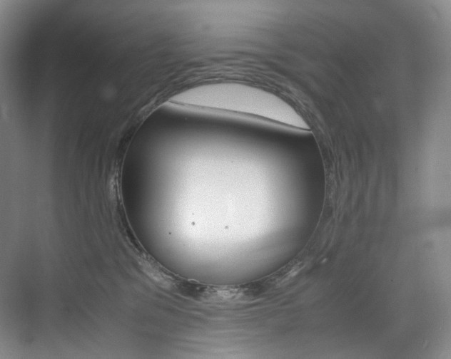 X0000075360329200609080845