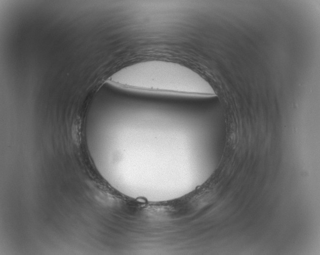 X0000075360332200609080845