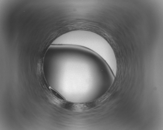 X0000075360333200609080845
