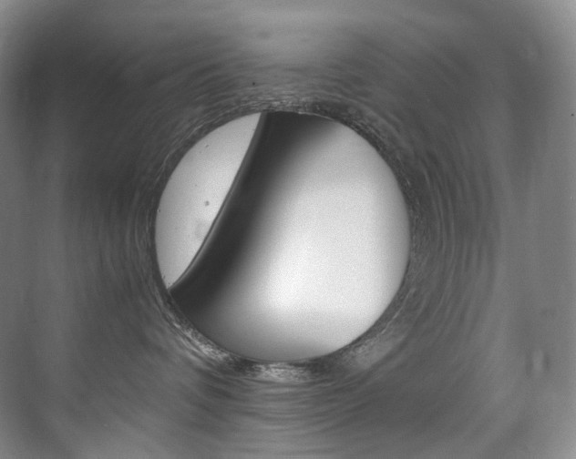 X0000075360336200609080845